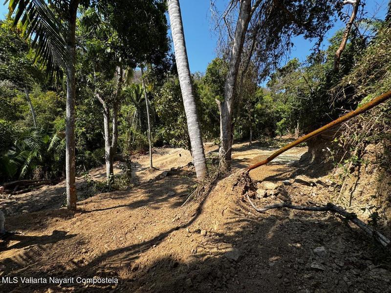 20250626192933138916000000 o