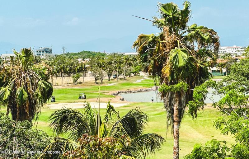 20251203162512666029000000 o